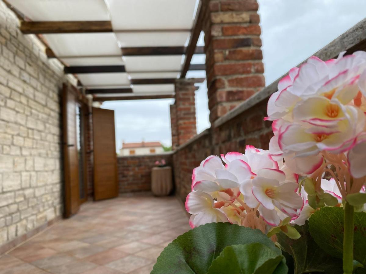 Paradise Villa Cassonni Istria 4 Stars Butkovići Εξωτερικό φωτογραφία
